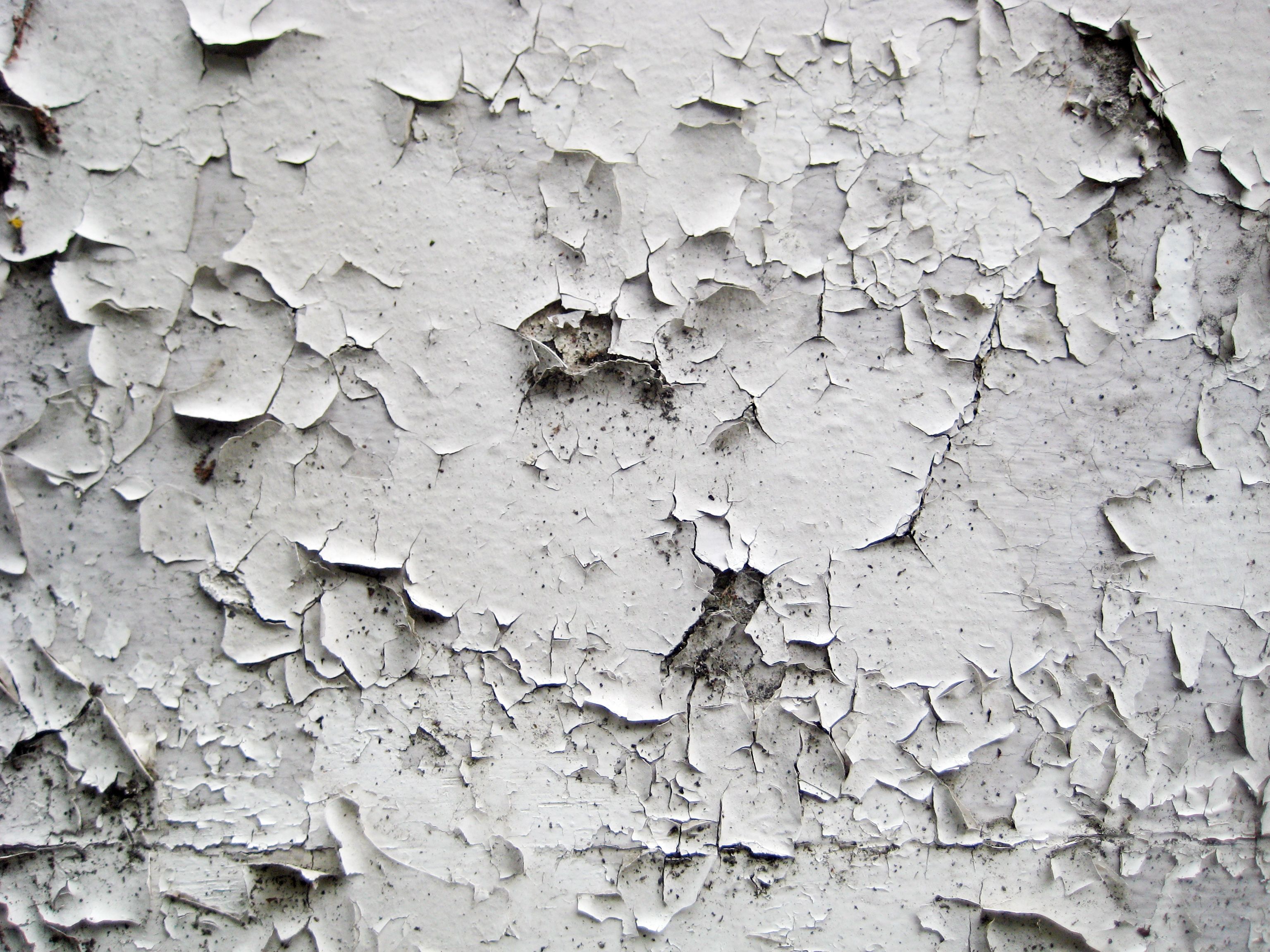paint peeling off wall in kitchen