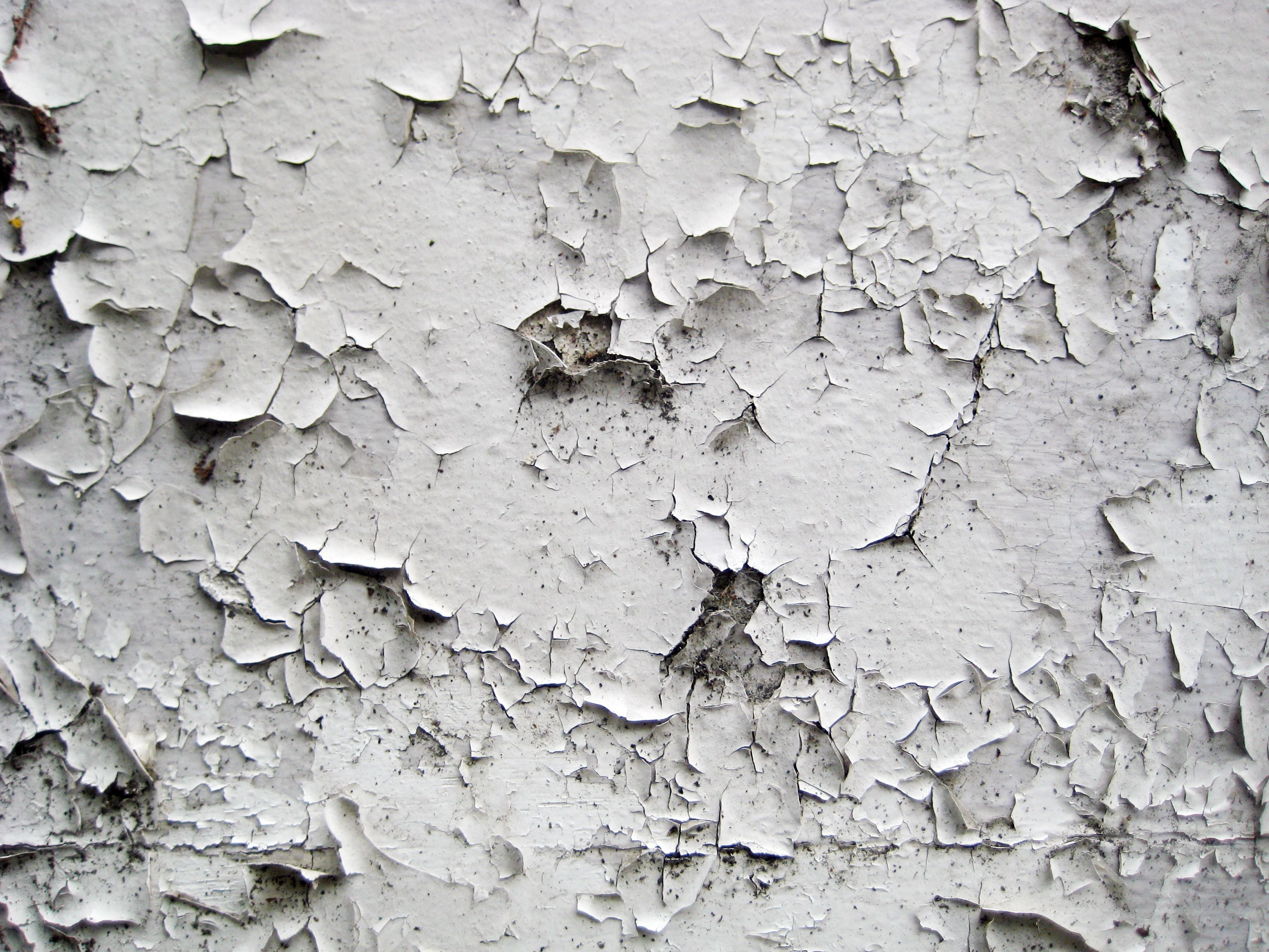 paint peeling off wall