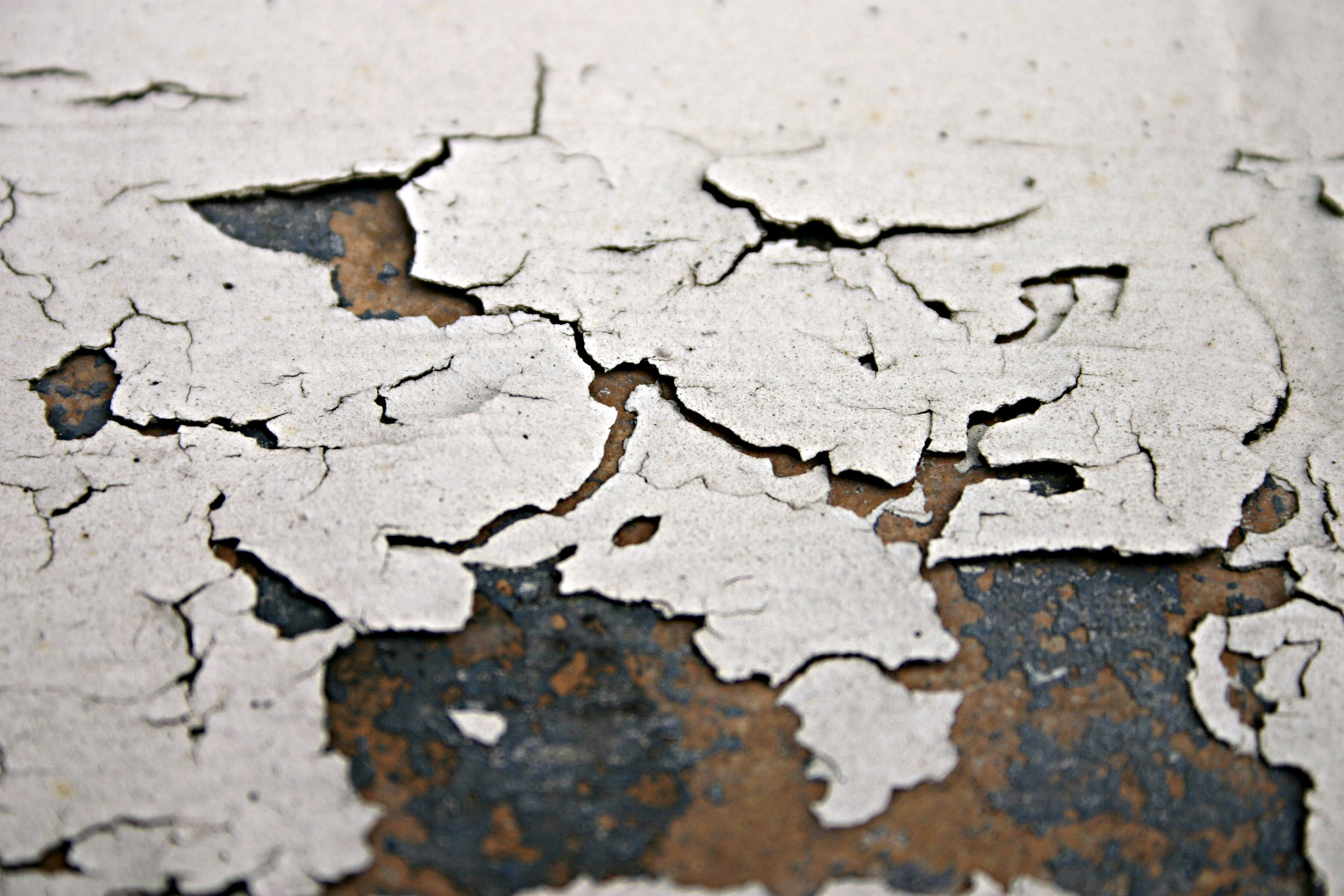 10 Major Reasons Why Your Wall Paint Is Peeling Off According To The